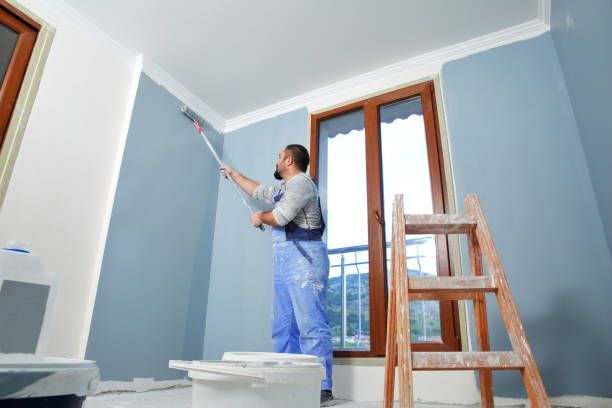 Best Attic Mold Removal  in Honokaa, HI