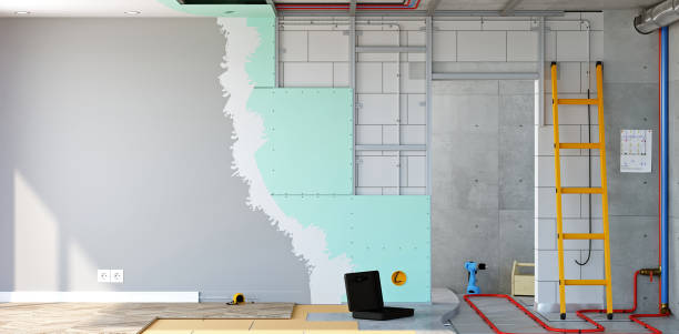Professional Mold Removal in Honokaa, HI
